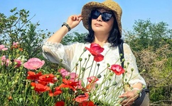 郭美美不雅视频全集